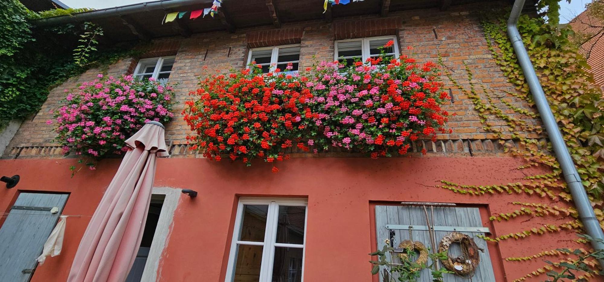 Ferienhaus In Der Historischen Altstadt Von Angermuende 安格尔明德 外观 照片
